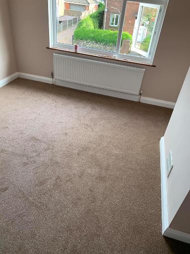 Full house of cheap carpet in beige